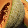 melons