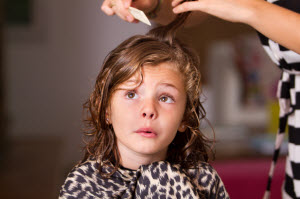 Lice comb Lice comb