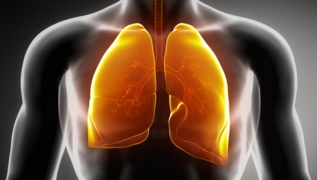 Pulmonary Function Testing