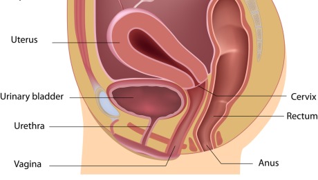 Urinary Incontinence Surgery