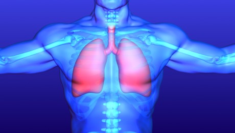 Body Plethysmography